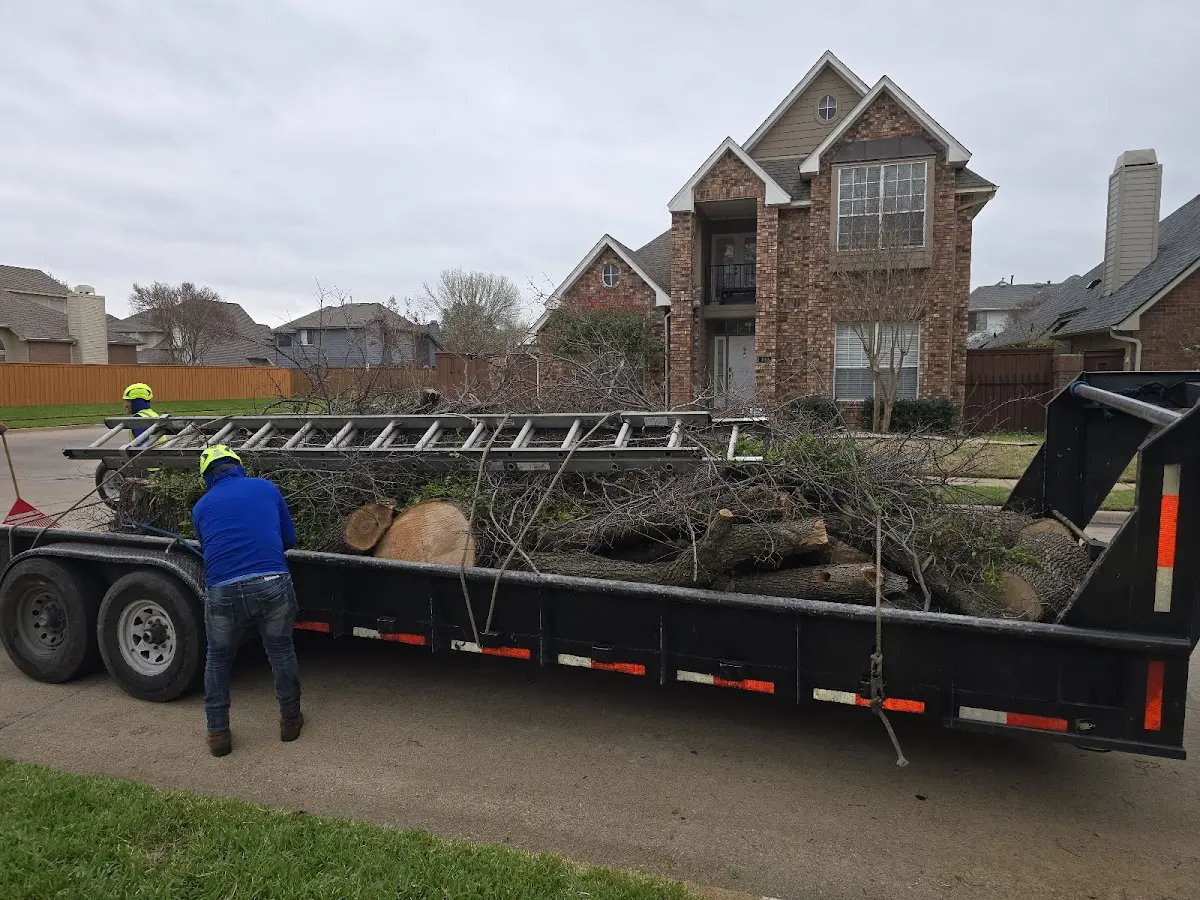 Expert Tree Fertilization with proper safety equipment in Hanover